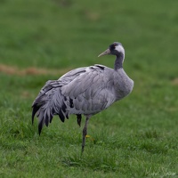 R5M05864
